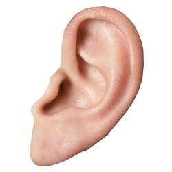 Ear-PNG-HD