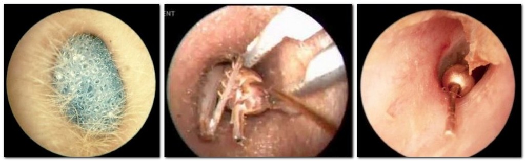 inoronoe-telo-v-uhe-3