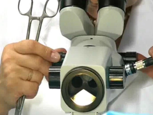 Видеокольпоскопия запись