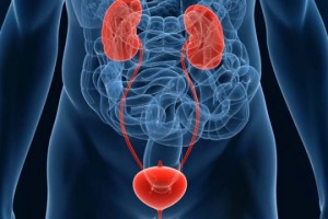 Лечение урологических заболеваний